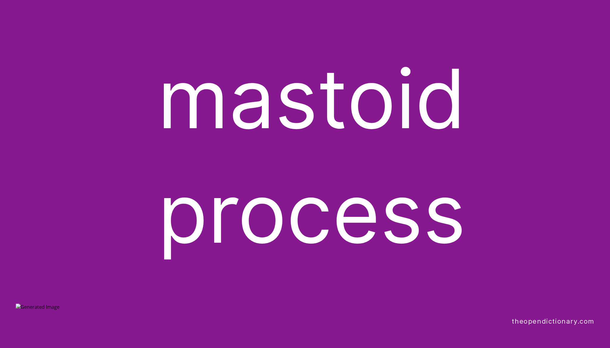 Mastoid process Meaning of Mastoid process Definition of Mastoid